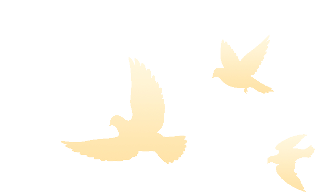 博源国际(中国)有限公司官网