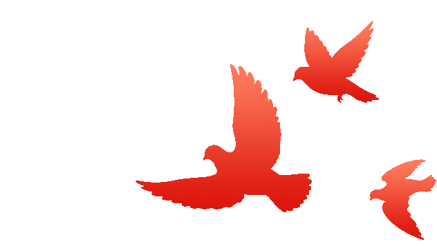 博源国际(中国)有限公司官网